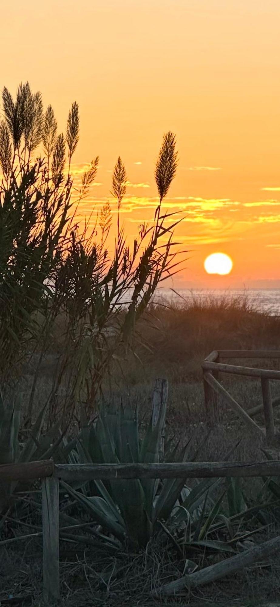 Willa Casa A 65 Metros De La Playa El Palmar  Zewnętrze zdjęcie